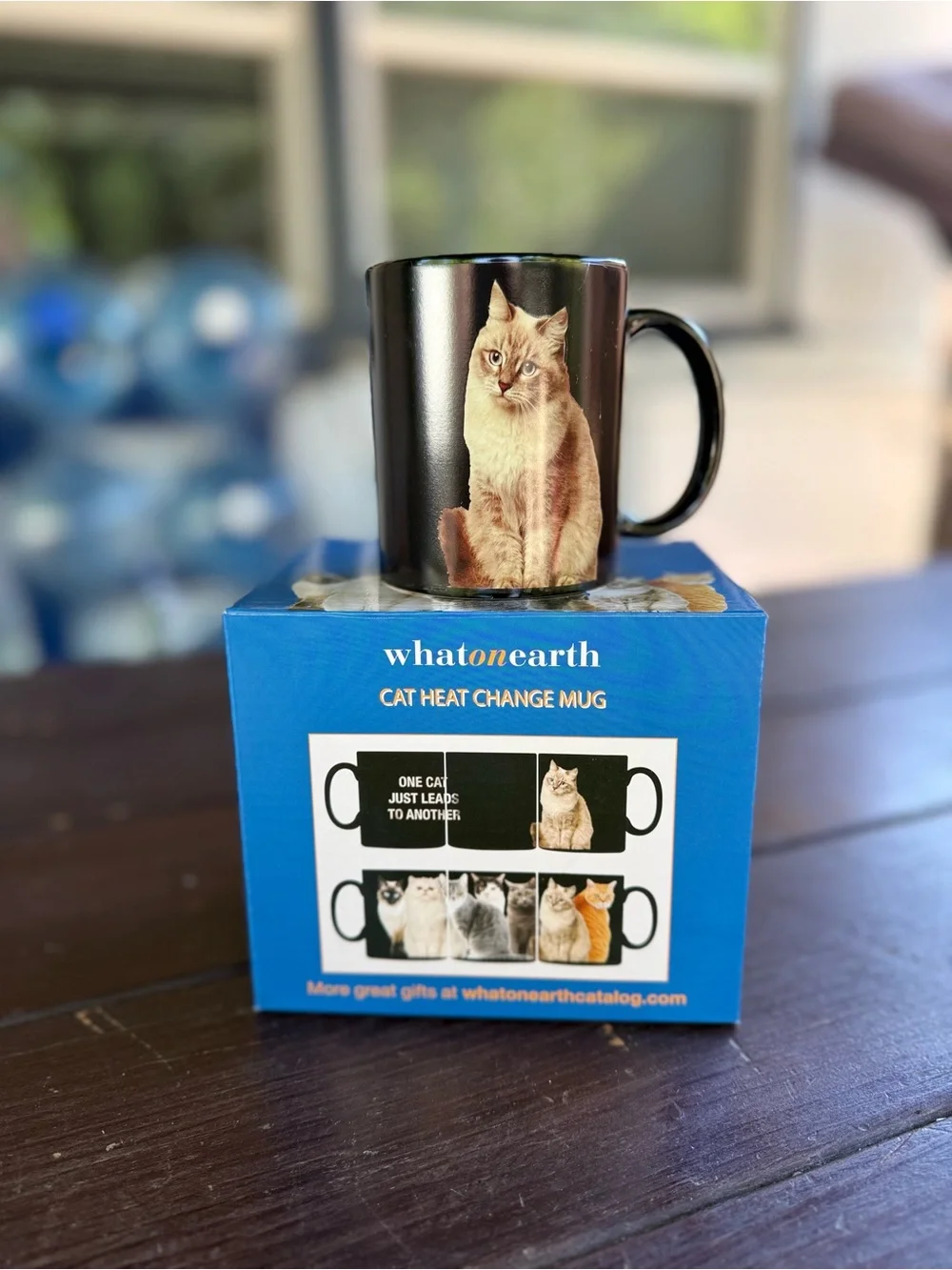 What on Earth Ceramic Cat Heat Change Mug 